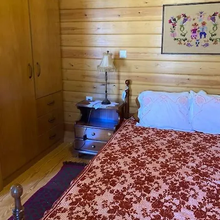 Apartman παραδοσιακή στο μαίναλο *